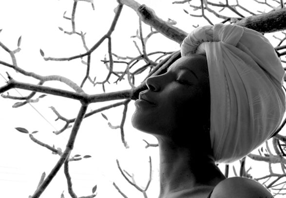 power of the ancestors power of the ancestors